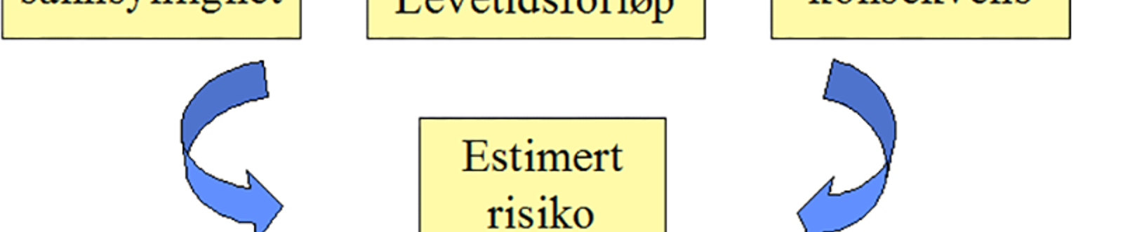 Flytskjema for RCM-prosess med vurdering av feil, konsekvens, risiko og vedlikeholdstiltak.
