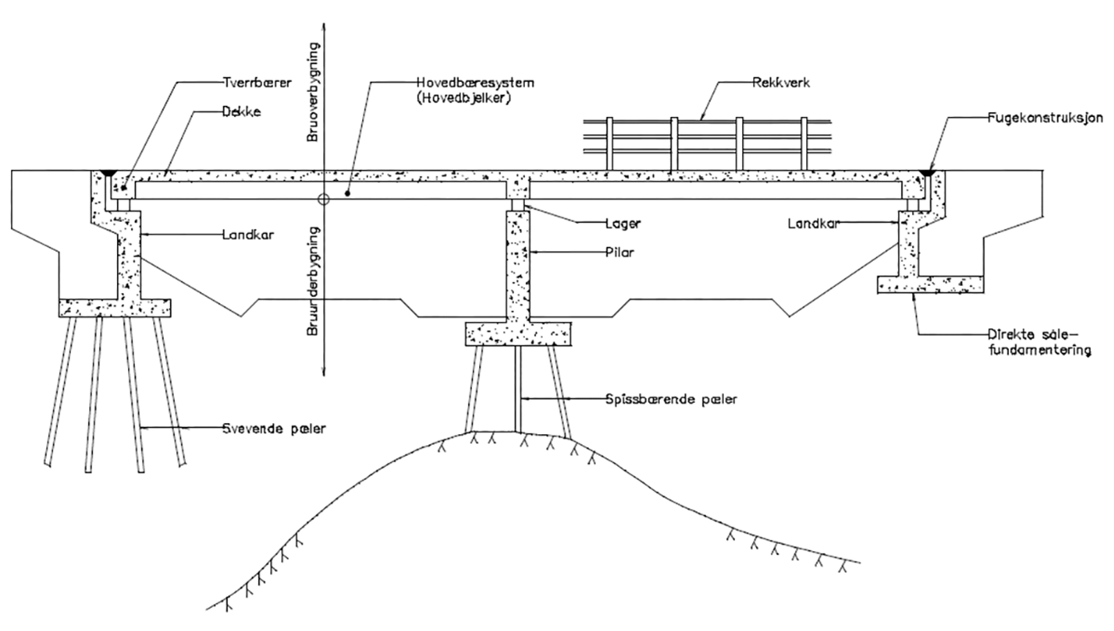 Lengdesnitt av jernbanebru med pilarer, landkar og ulike konstruksjonselementer markert.
