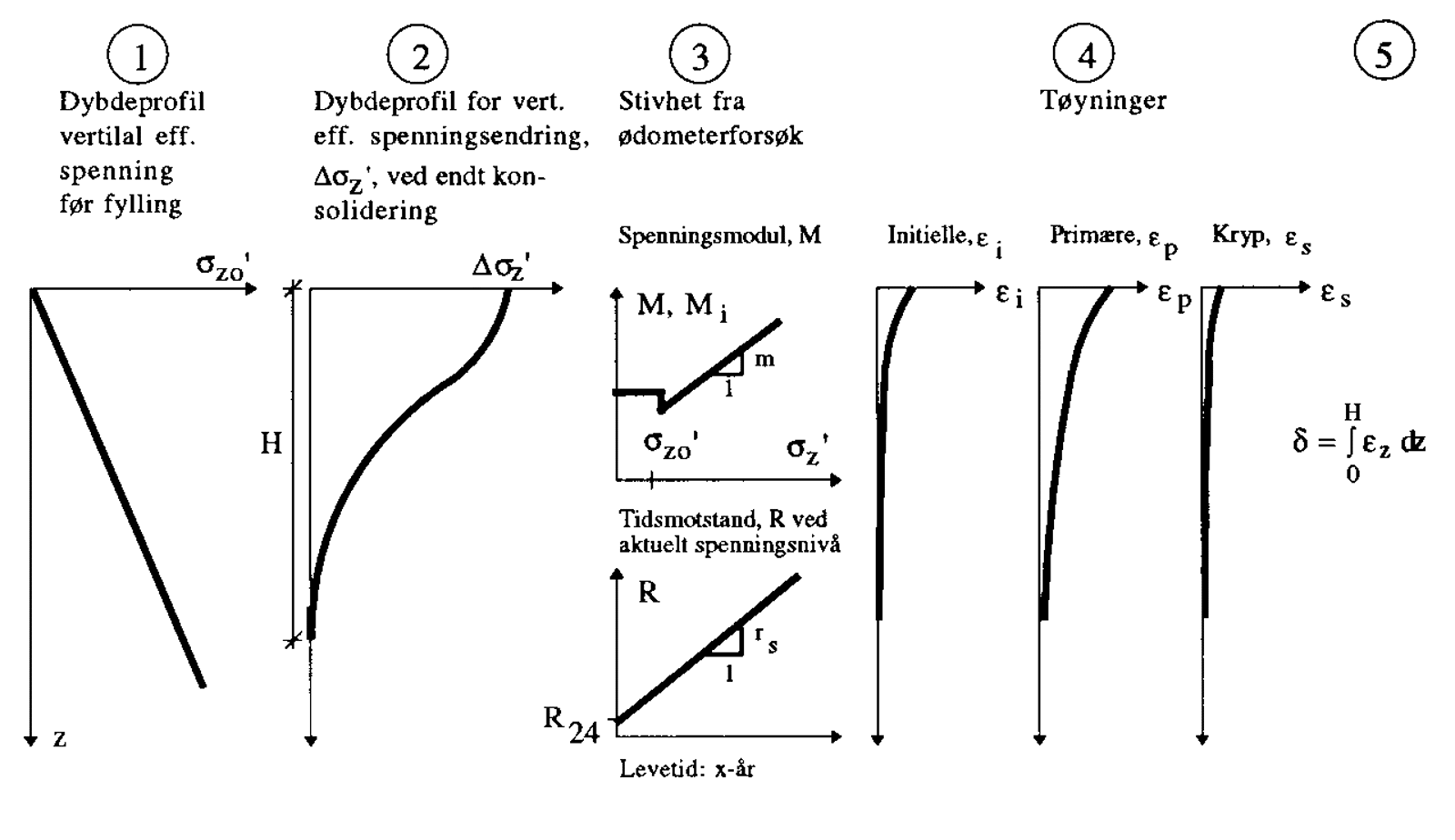 Grafisk fremstilling av beregningsgang for setninger, inkludert dybdeprofiler, tøyning og setning.