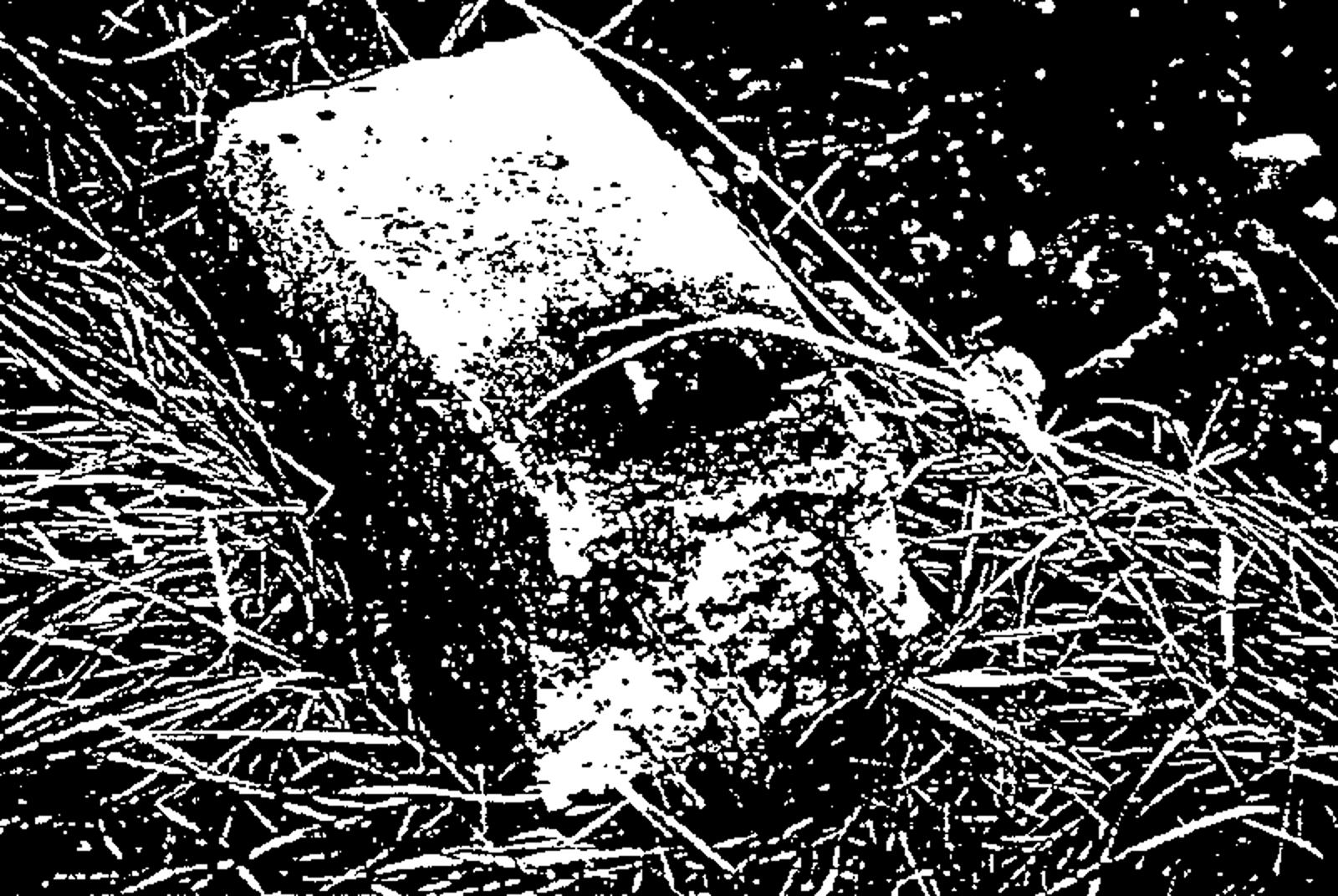 Bruddet betongsville i gress, delvis nedgravd etter skade og rissutvikling.