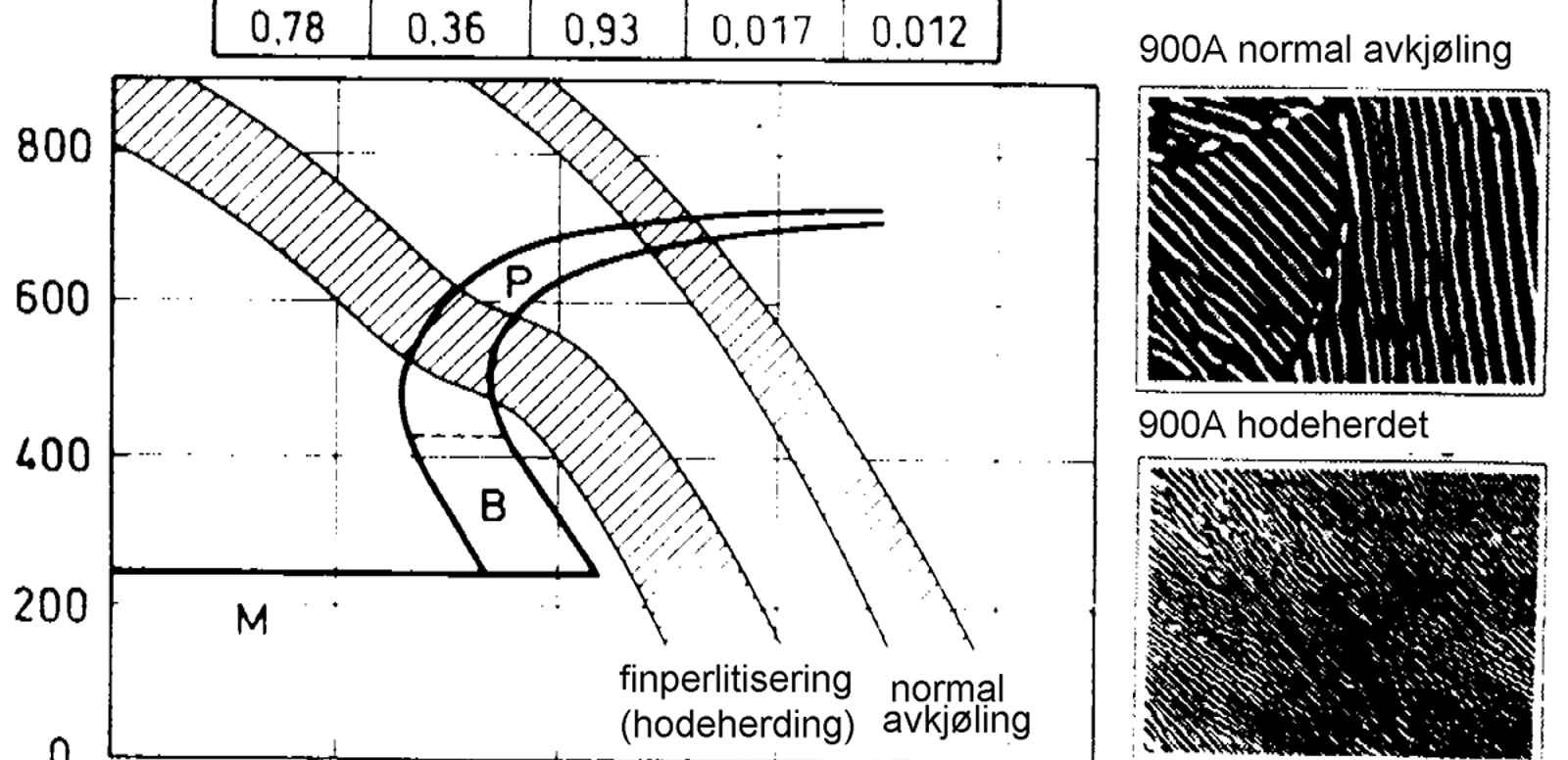 TTT-diagram og mikrobilder som viser finperlittisering og normal avkjøling av 900A-stål.