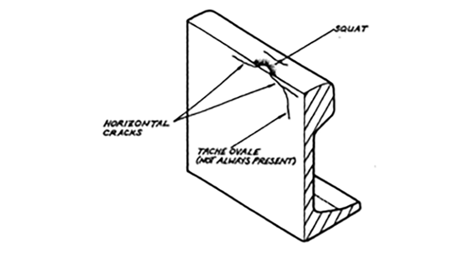 Tverrsnitt av skinne med squat-defekt, viser sprekker i skinnehodet.