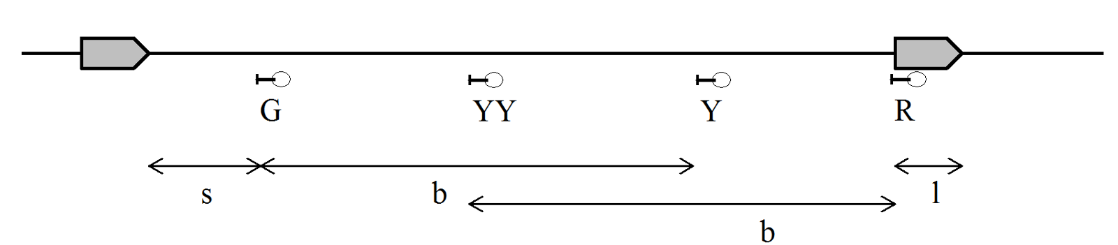 Minste togfølgetid ved 4-begrep signalering, med blokklengde b og siktavstand s.