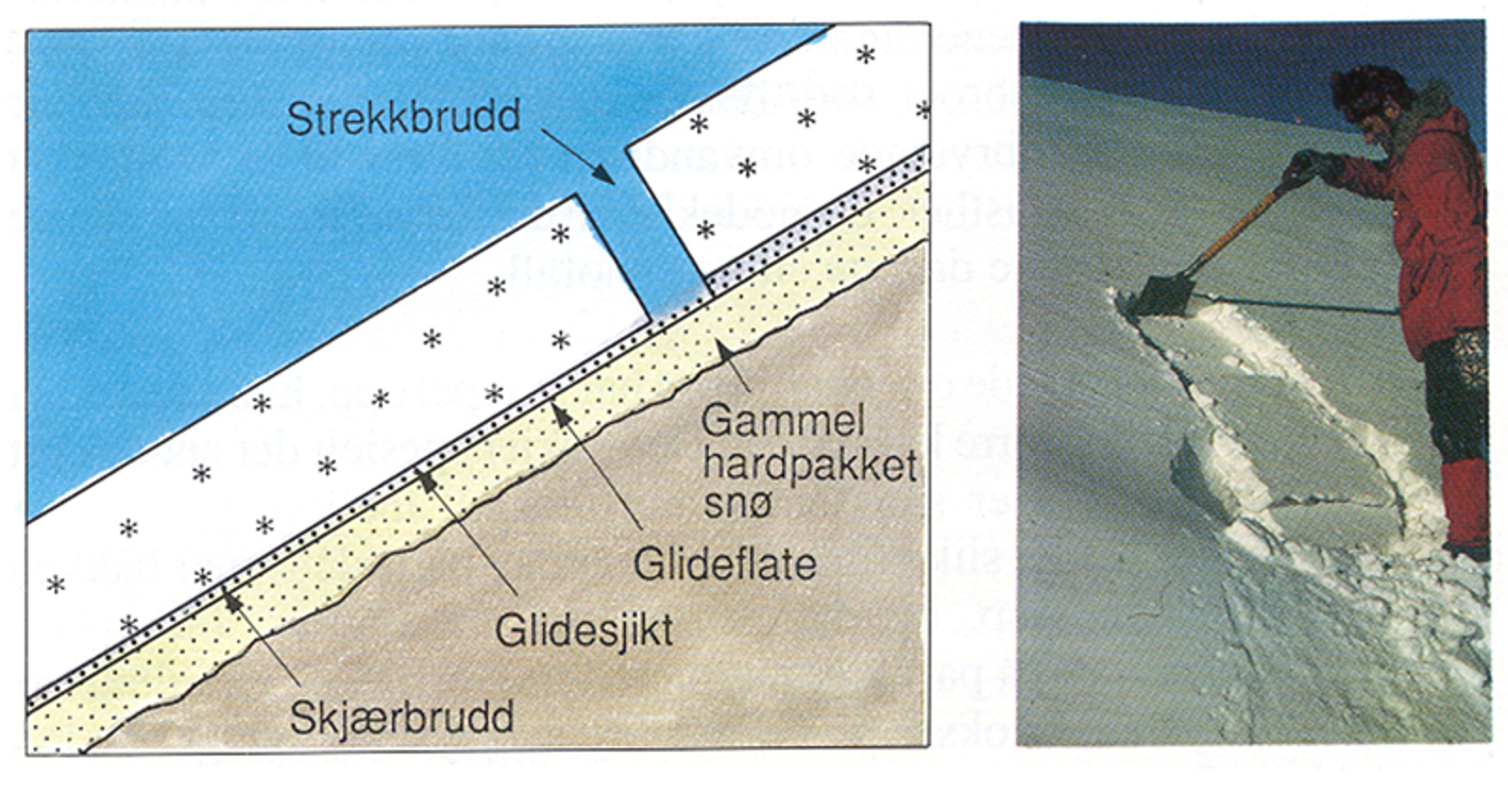 Illustrasjon av skredbrudd, snølag og spadeprøve i bratt terreng.