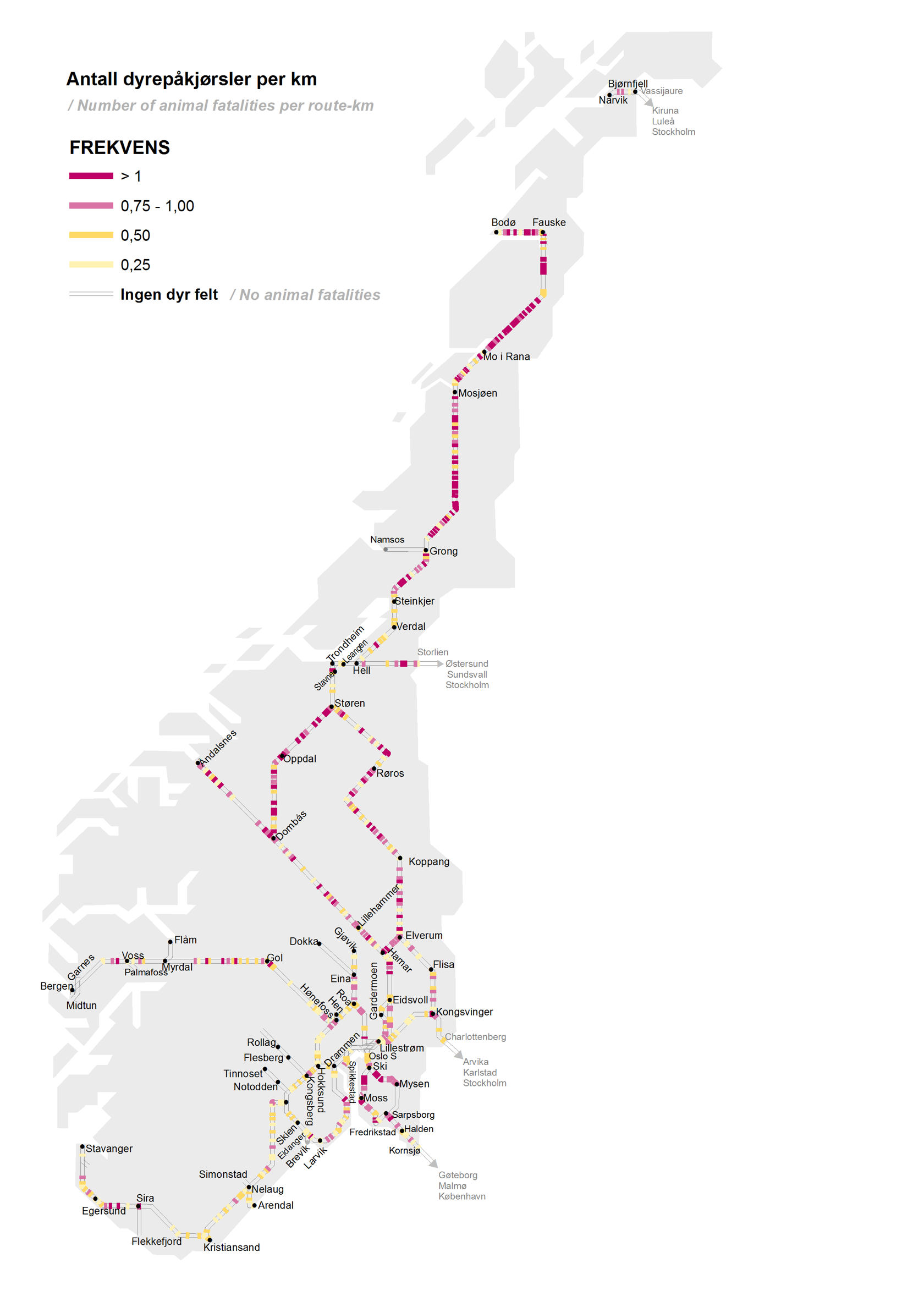 Map depicting number of animal fatalities per kilometre. Illustration.