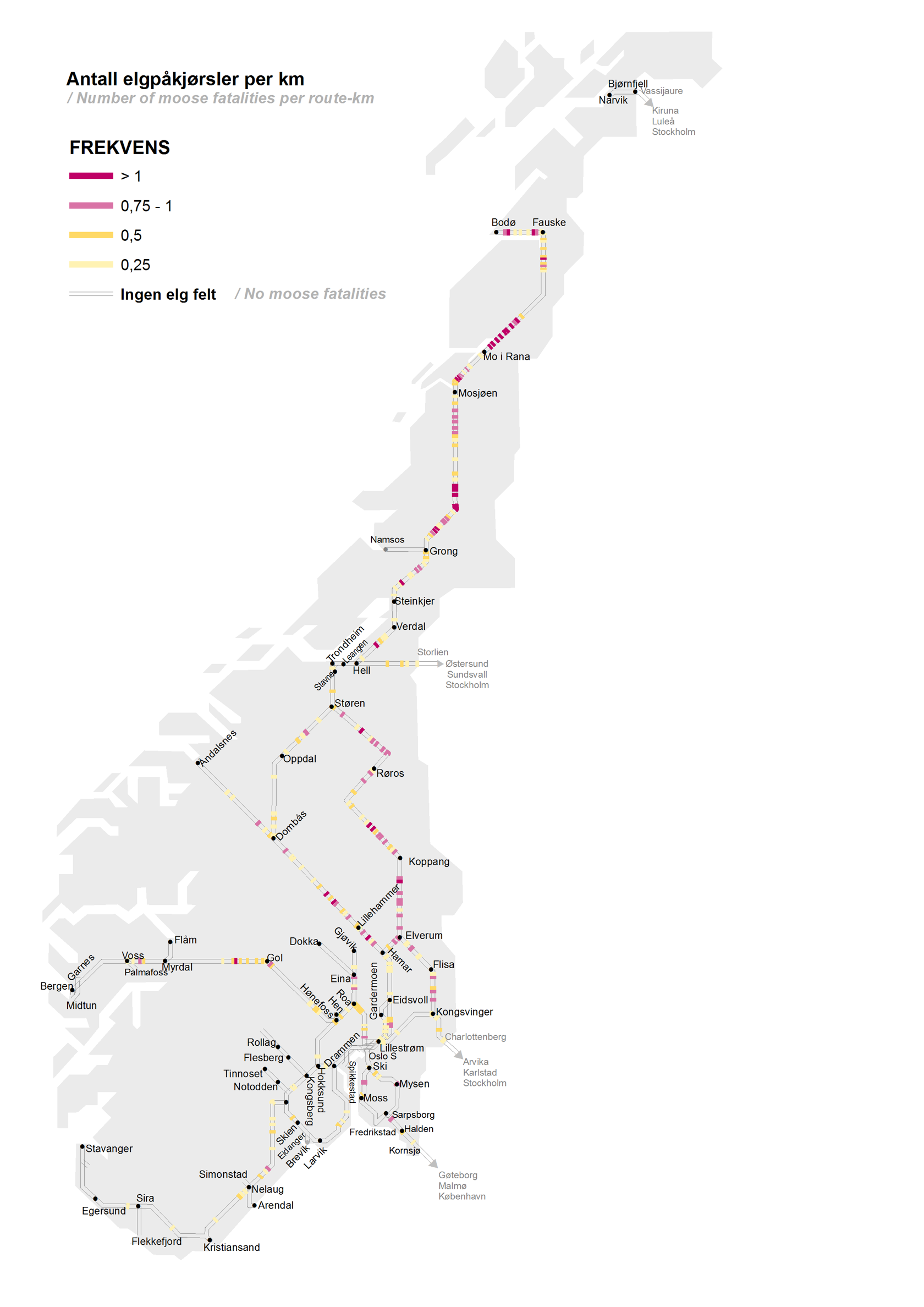 Map depicting number of moose fatalities per route-km. Illustration.